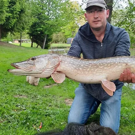 Vendégház Les Etangs Du Moulin D'harcy Lonny