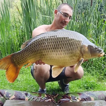 Les Etangs Du Moulin D'harcy Guest house