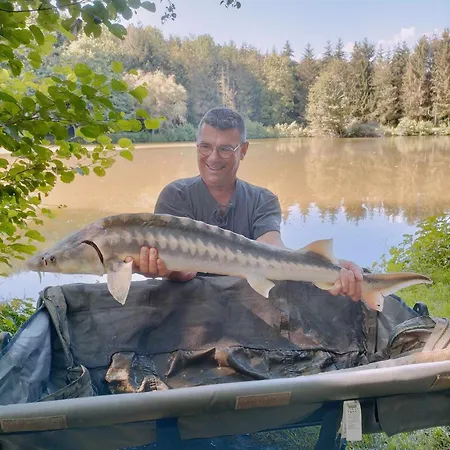 ゲストハウス Les Etangs Du Moulin D'harcy 4*