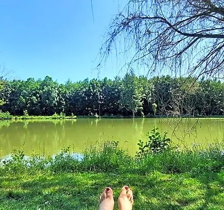 Gasthuis Les Etangs Du Moulin D'harcy