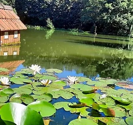 Les Etangs Du Moulin D'harcy