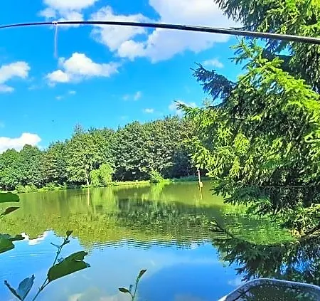 Les Etangs Du Moulin D'harcy Gasthuis Lonny