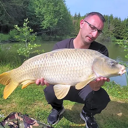 Gasthuis Les Etangs Du Moulin D'harcy 4*