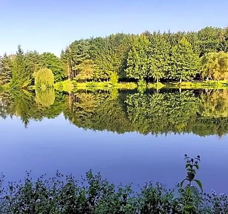 Les Etangs Du Moulin D'harcy 4*