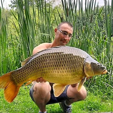 Gasthuis Les Etangs Du Moulin D'harcy 4*