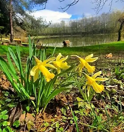 Les Etangs Du Moulin D'harcy