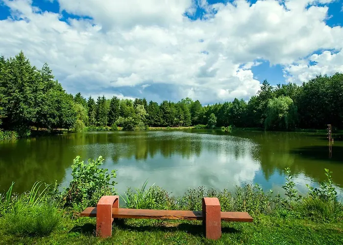 Les étangs Du Moulin D'harcy 4* Lonny