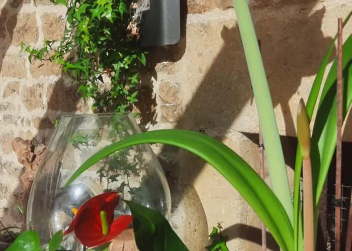 Pensión Les étangs Du Moulin D'harcy 4*