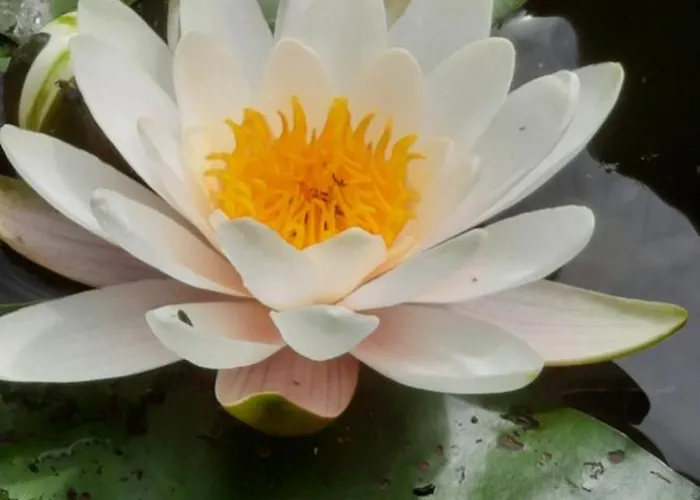 Les Etangs Du Moulin D'harcy Gasthuis Lonny